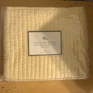 Set (2) silk/velvet Euro Shams